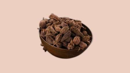 black cardamom bari elaichi kali nepali indian