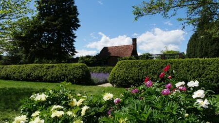 Planting Fields Arboretum Perennial Garden Tea House peonies